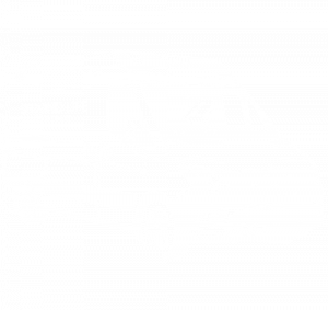 bus-WIT2